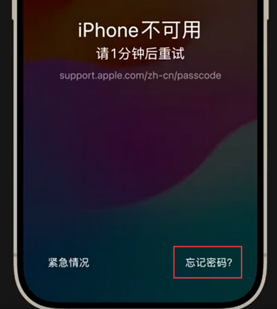 藤县苹果手机密码维修分享iPhone忘记了刚设置的密码 